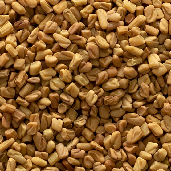 Fenugreek Seeds for export and import