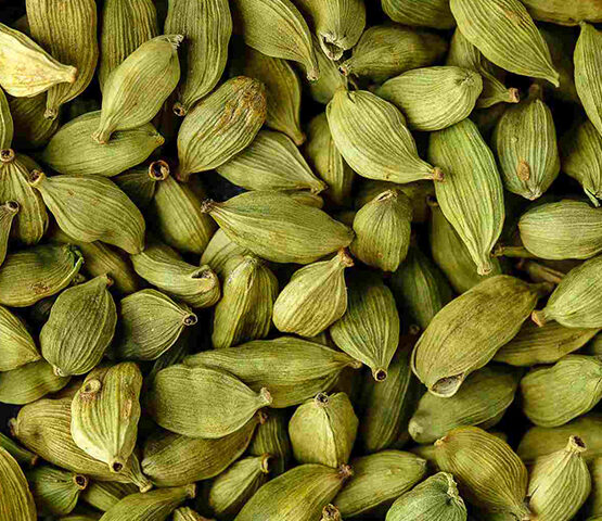 Cardamoms for export and import