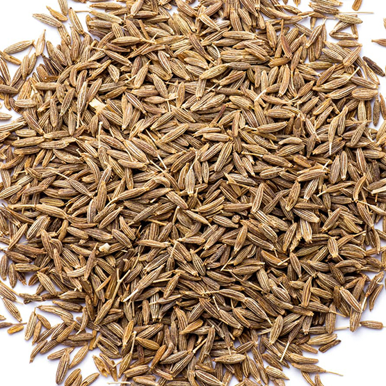 Cumin Seeds for export and import