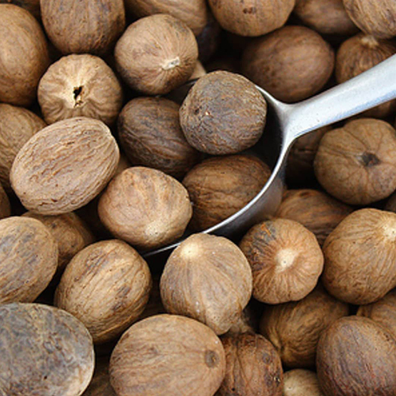 Nutmeg for export and import