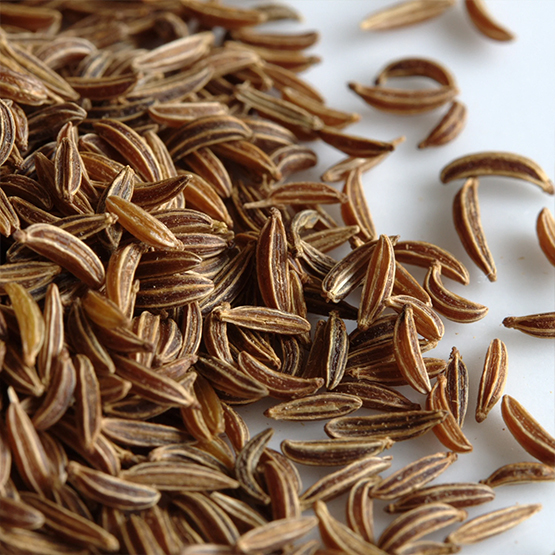 Anise Seeds for export and import