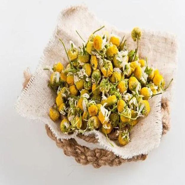 chamomile for export