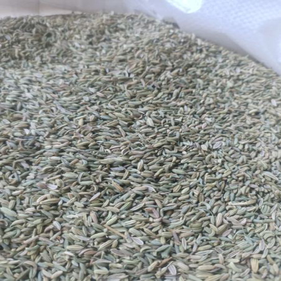 Fennel Seeds for export and import