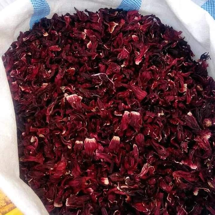 hibiscus for export and import