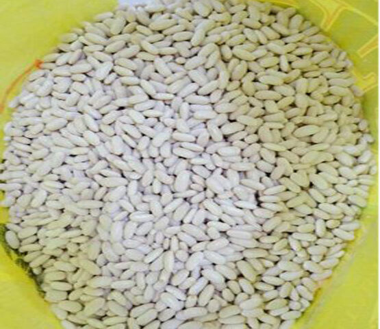White Beans for export and import