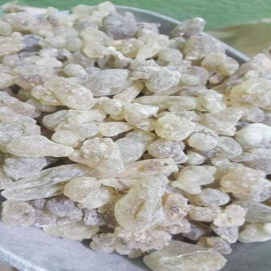 Frankincense for export and import