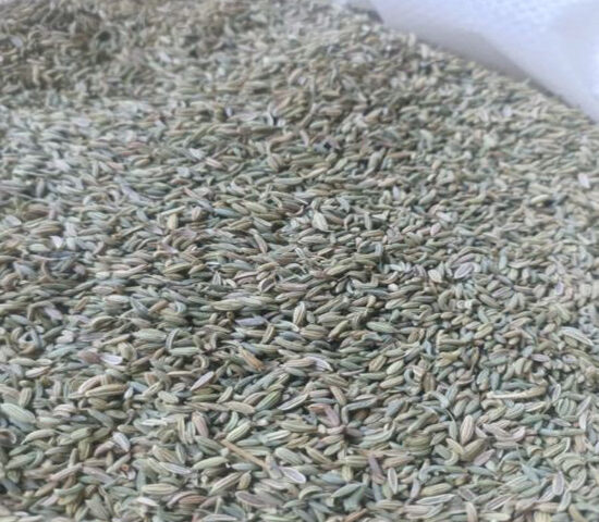 Fenouil graines export import