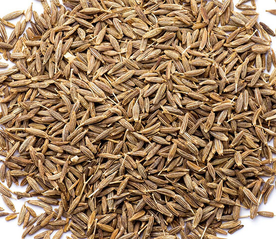 cumin Graines l'exportation l'importation
