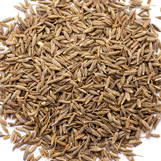 cumin graines export import