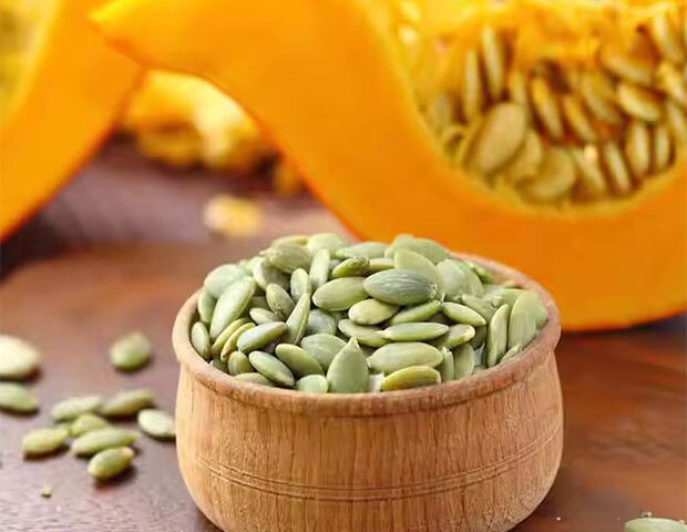 Pumpkin seeds for export and import