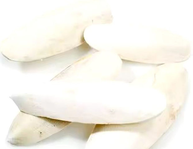 Squid bone for export and import