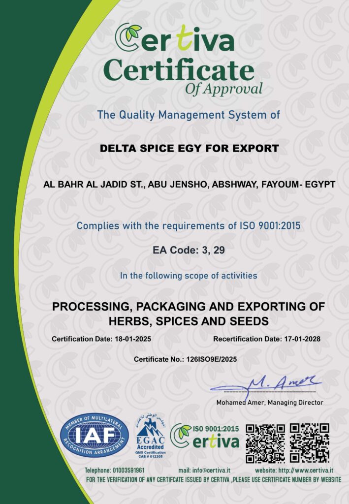 ISO9001